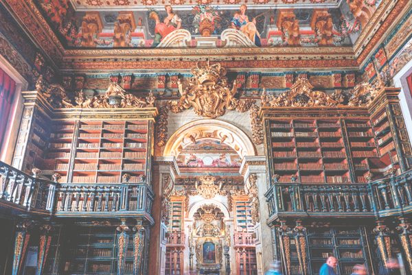 PeteGarner's tweet photo. In This Beautiful Library, Bats Guard the Books https://t.co/JjaFG01138 https://t.co/wfZnlzdp6K