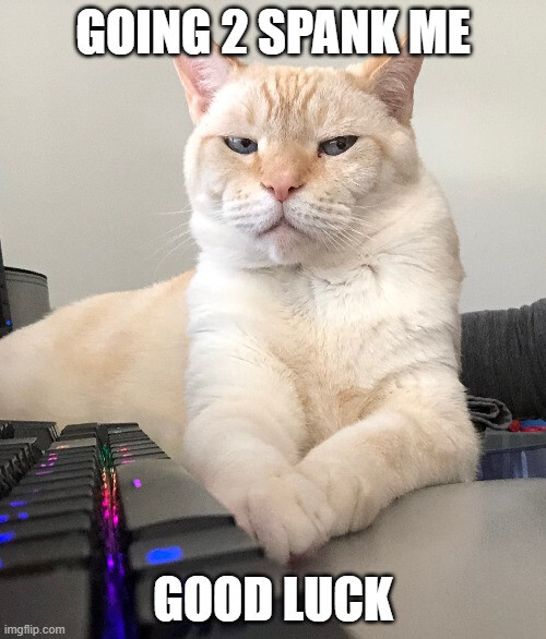 what u goin 2 do spank me? https://t.co/15Xo5Au9s9<a href="/tag/keanureeves"class="tags"><span>#keanureeves</span></a>