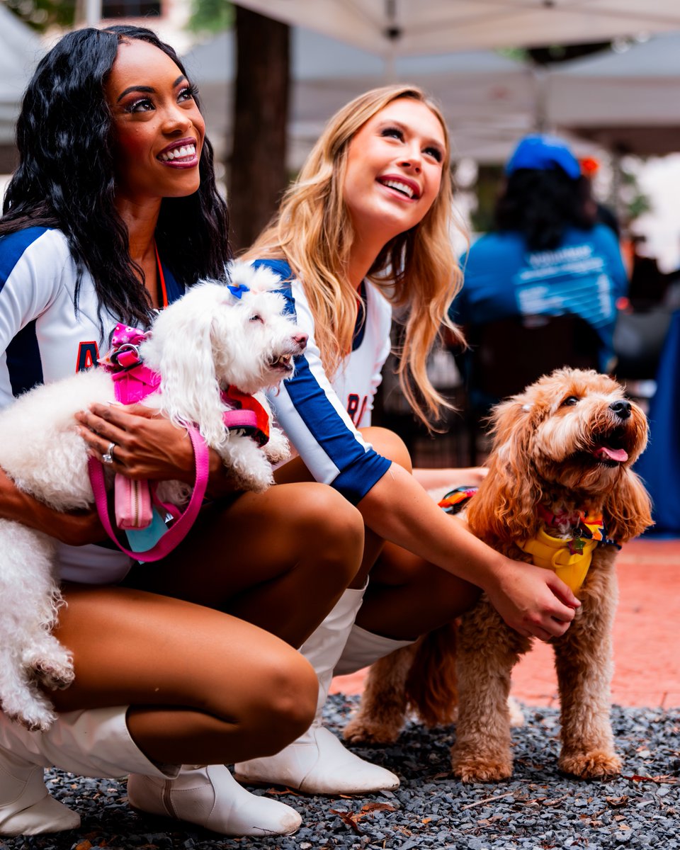 Daikin Park tweet media