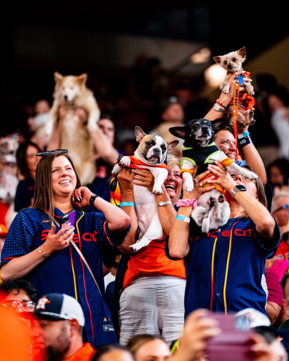 Daikin Park tweet media