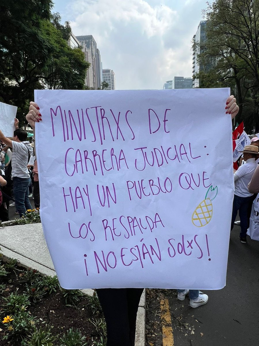 rsore_'s tweet photo. #NoALaReformaAlPoderJudicial https://t.co/nl9W1BYVaI