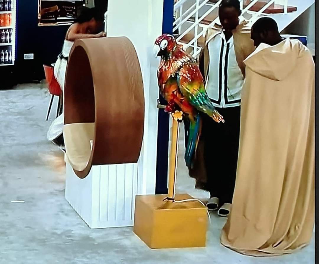 They said #Doyin is back 🤪🤪😂

#BBNaija #KellyRae