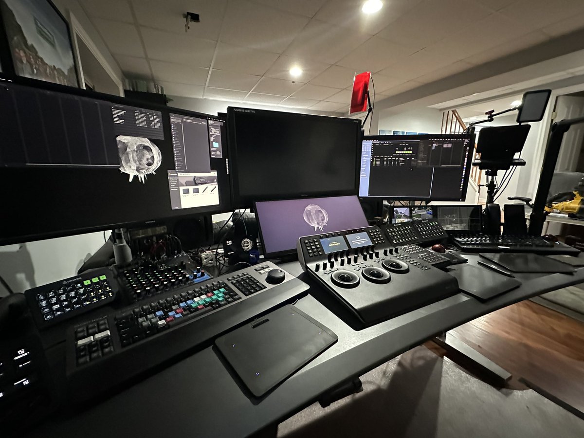 Joey D'Anna tweet media