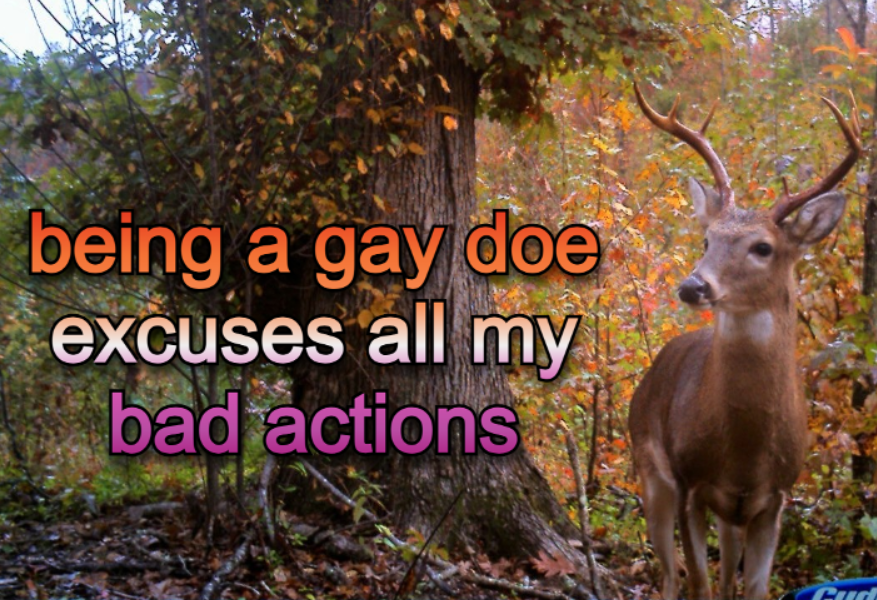 deertexting's tweet photo. https://t.co/5tDssIRhf7