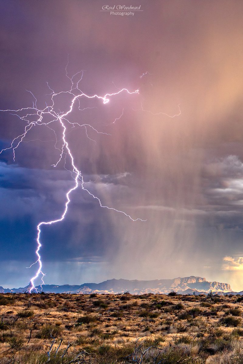 Lightningchazer tweet picture