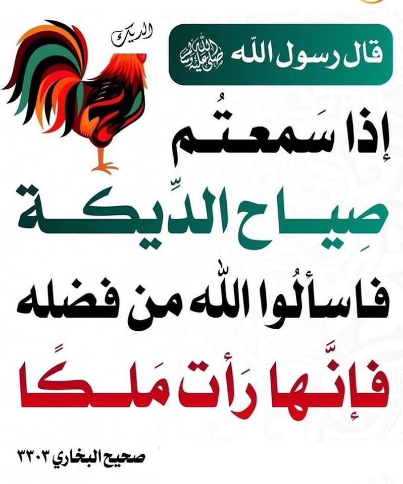 Ali (@678_aly) on Twitter photo 