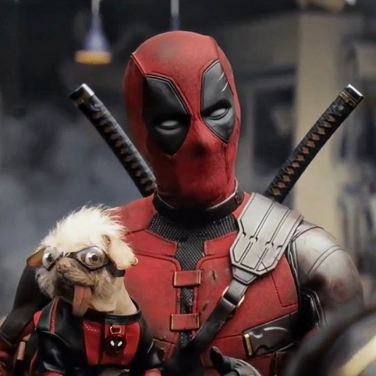 MCUFilmNews's tweet photo. 'DEADPOOL &amp; WOLVERINE' has earned $599.5 million domestically and $658.4 million internationally.

This brings the total to $1.26 billion.

(Source: @Luiz_Fernando_J) https://t.co/QxYSbW4NsW