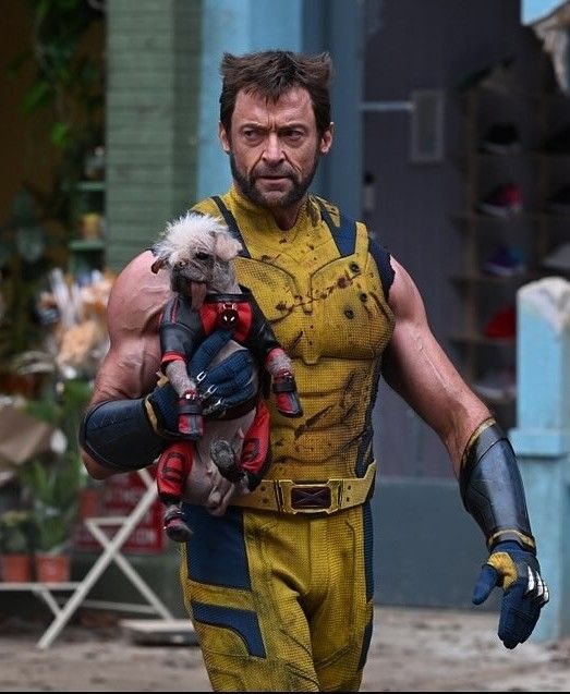 MCUFilmNews's tweet photo. 'DEADPOOL &amp; WOLVERINE' has earned $599.5 million domestically and $658.4 million internationally.

This brings the total to $1.26 billion.

(Source: @Luiz_Fernando_J) https://t.co/QxYSbW4NsW