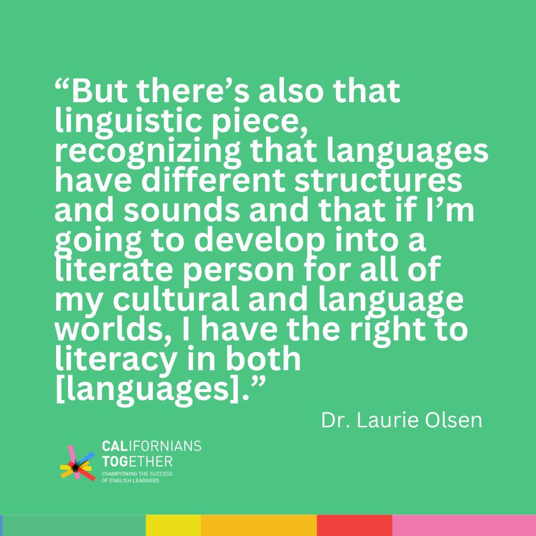 What does effective literacy look like for classrooms with #MultilingualLearners? Beyond learning content, it’s also about finding joy in reading. 

Listen to Dr. Laurie Olsen on the National Committee for Effective Literacy Podcast. #NationalLiteracyMonth buff.ly/3MtbtGc
