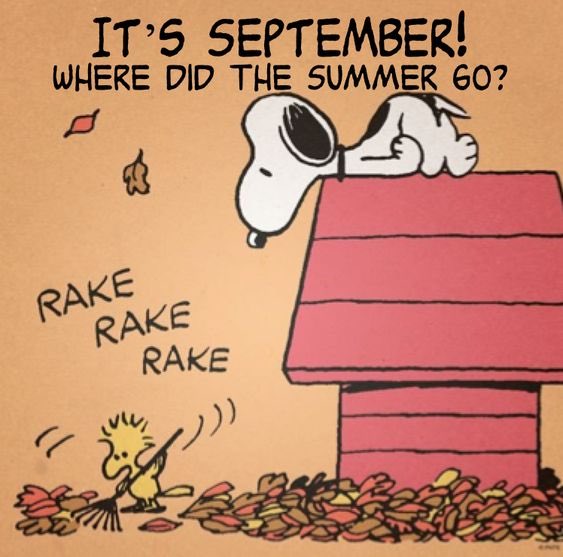 snoomfies's tweet photo. Happy September Snoomfies!! https://t.co/m1VAv1eJOn