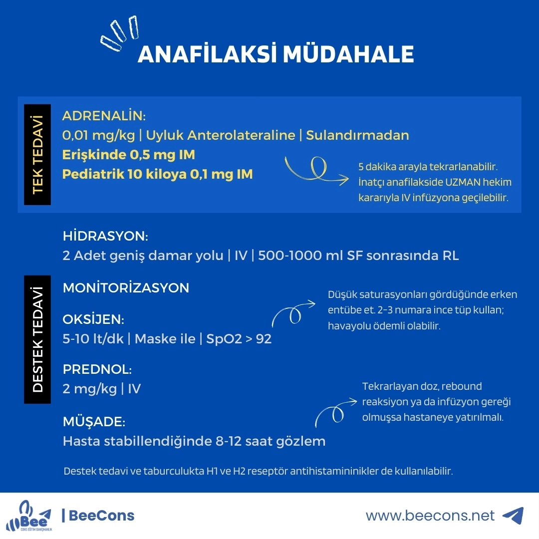 İntern Hekim İletişim Platformu tweet media