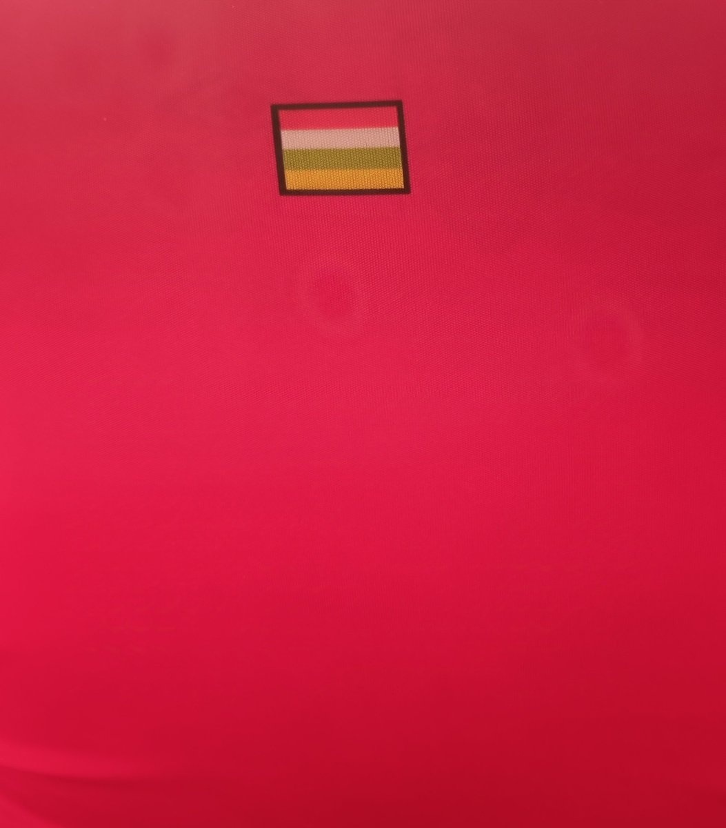 SomosUDLog's tweet image. Una temporada más.
#udlogroñes #contigocapacesdetodo