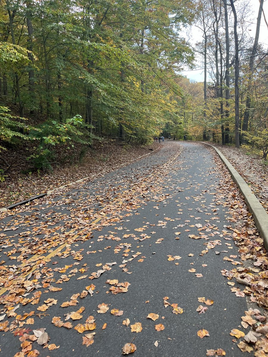 nzanetti44's tweet photo. @the_transit_guy Rock Creek Park in DC has to be one of the finest urban parks in the country, a treasure https://t.co/IP6XaaORkk
