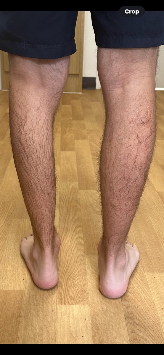 James Noake tweet media