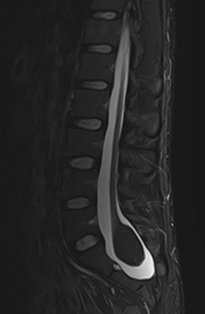 James Noake tweet media