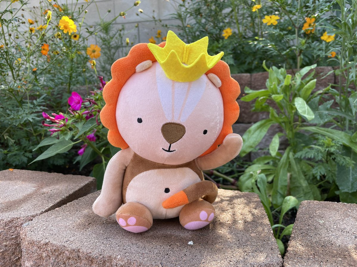 Dustin Culbertson tweet media