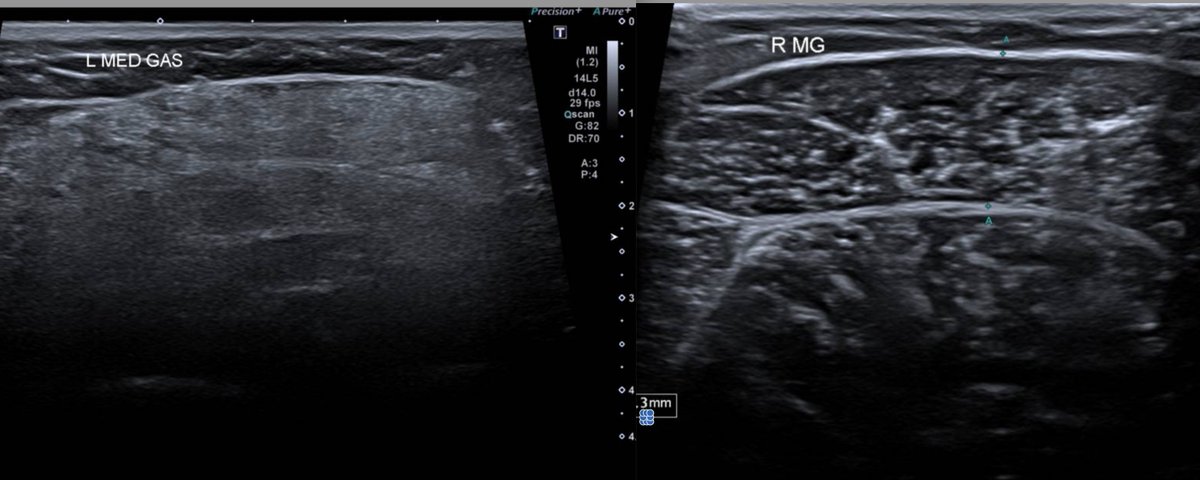 James Noake tweet media