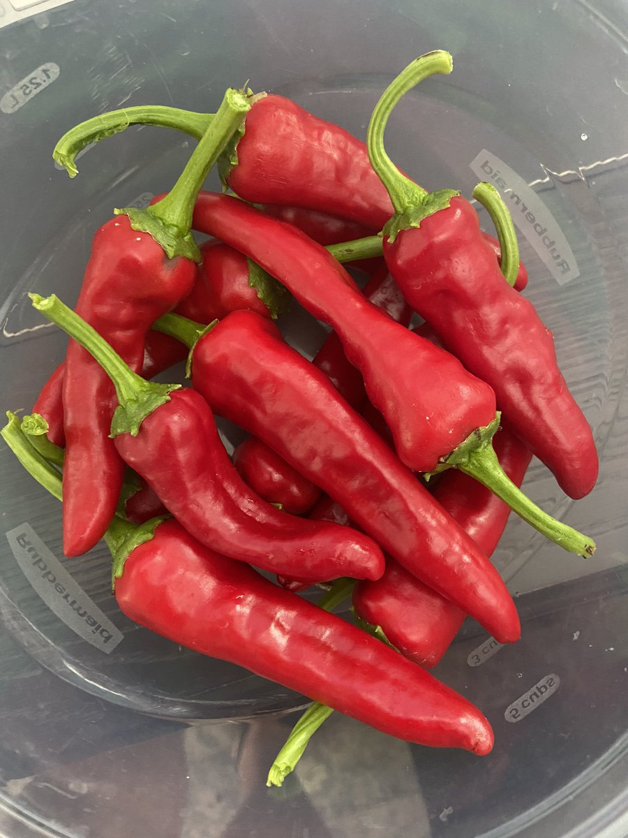 Jill Weaver tweet media