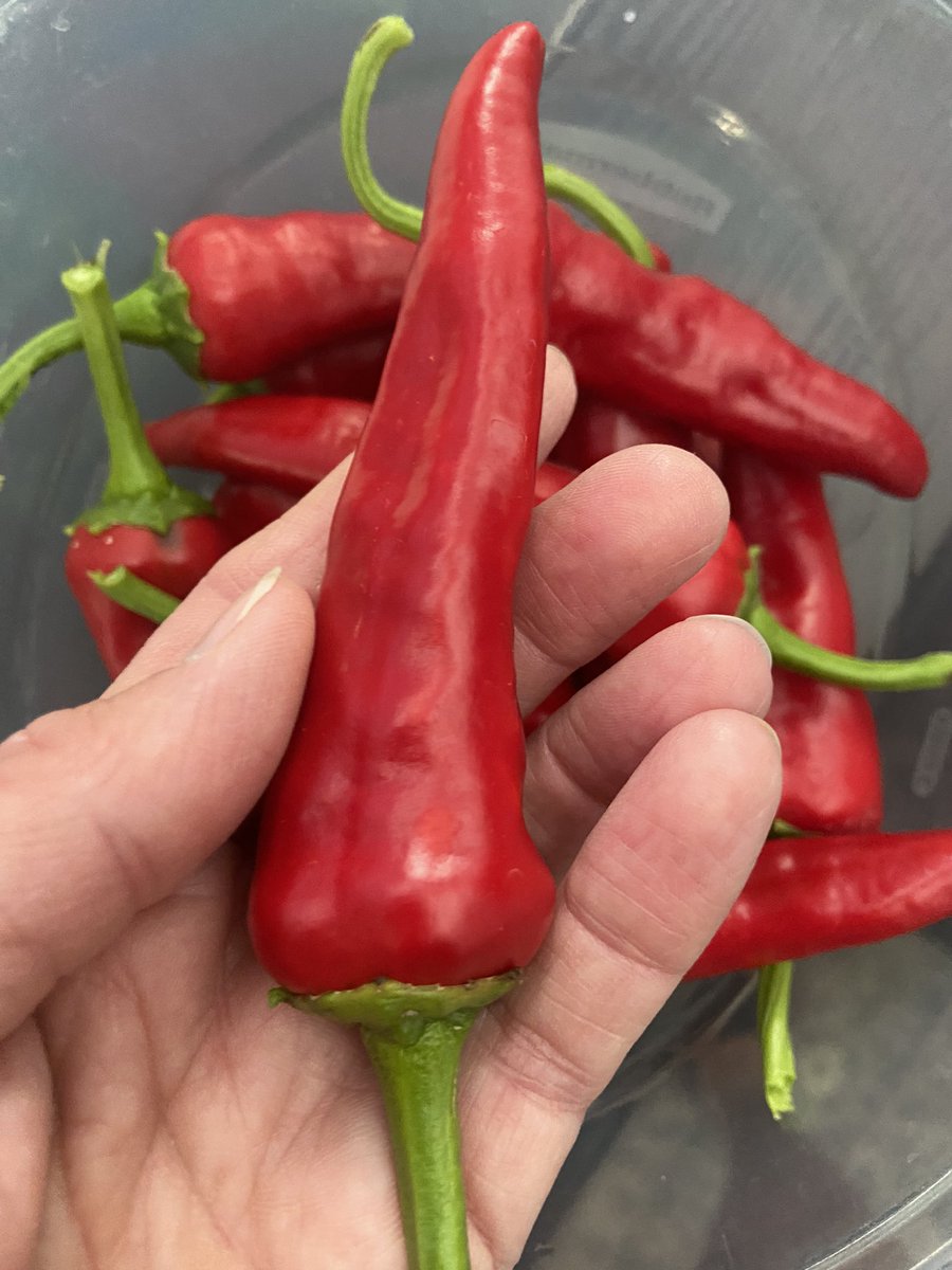 Jill Weaver tweet media