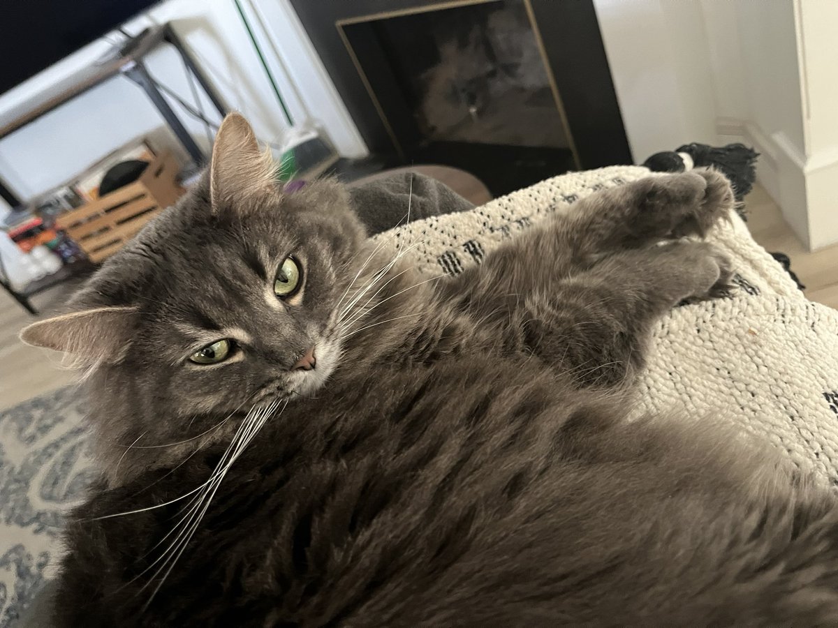 nova keeps asking when his father will be coming home