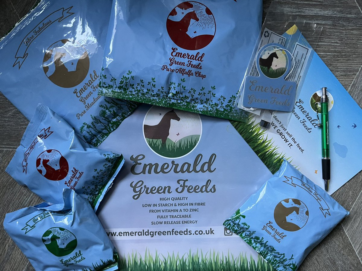 BSArea48 tweet media