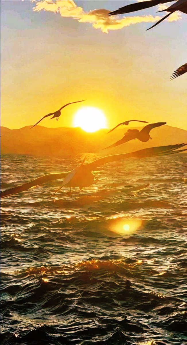 lo989898's tweet photo. قَالَ الْفُضَيْلَ بْنَ عِيَاضٍ: 

«إِنَّ اللهَ تَعَالَى يَقْسِمُ الْمَحَبَّةَ كَمَا يَقْسِمُ الرِّزْقَ وَكُلُّ ذَا مِنَ اللهِ تَعَالَى».

[حلية الأولياء(٩٩/٨)]. https://t.co/r2jcx9yT2N