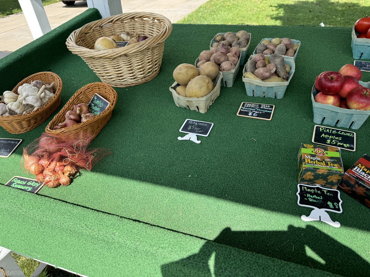 Apples are here! In addition to all season’s worth of fresh produce and #NYMaple products. Stop by our stand daily- 13424 Stage Road Akron/Newstead or visit us at the West Shore Market in Russell Park- Akron from 5-8 Thursdays for the rest of September! 🍎 🍅 🫑 🌶️ 🧄 🍁