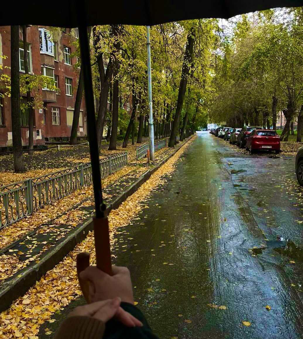 yağmurlu hava
serinlik 
ve seninle yürümenin hayali