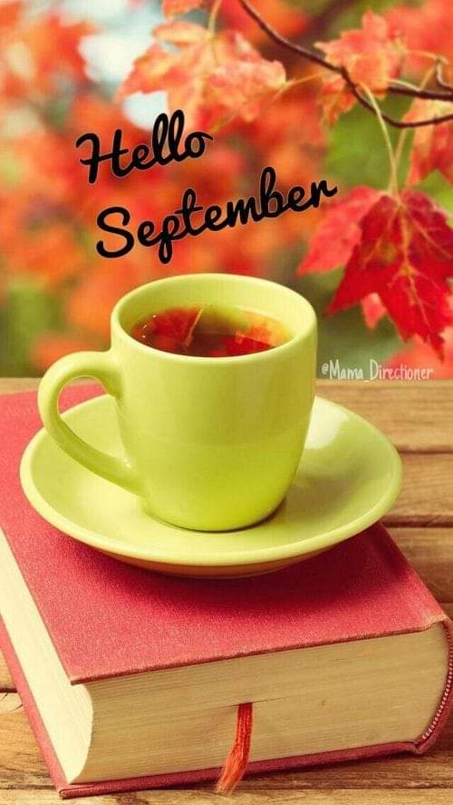 Daniel R. Mith (@mithr68162) on Twitter photo 