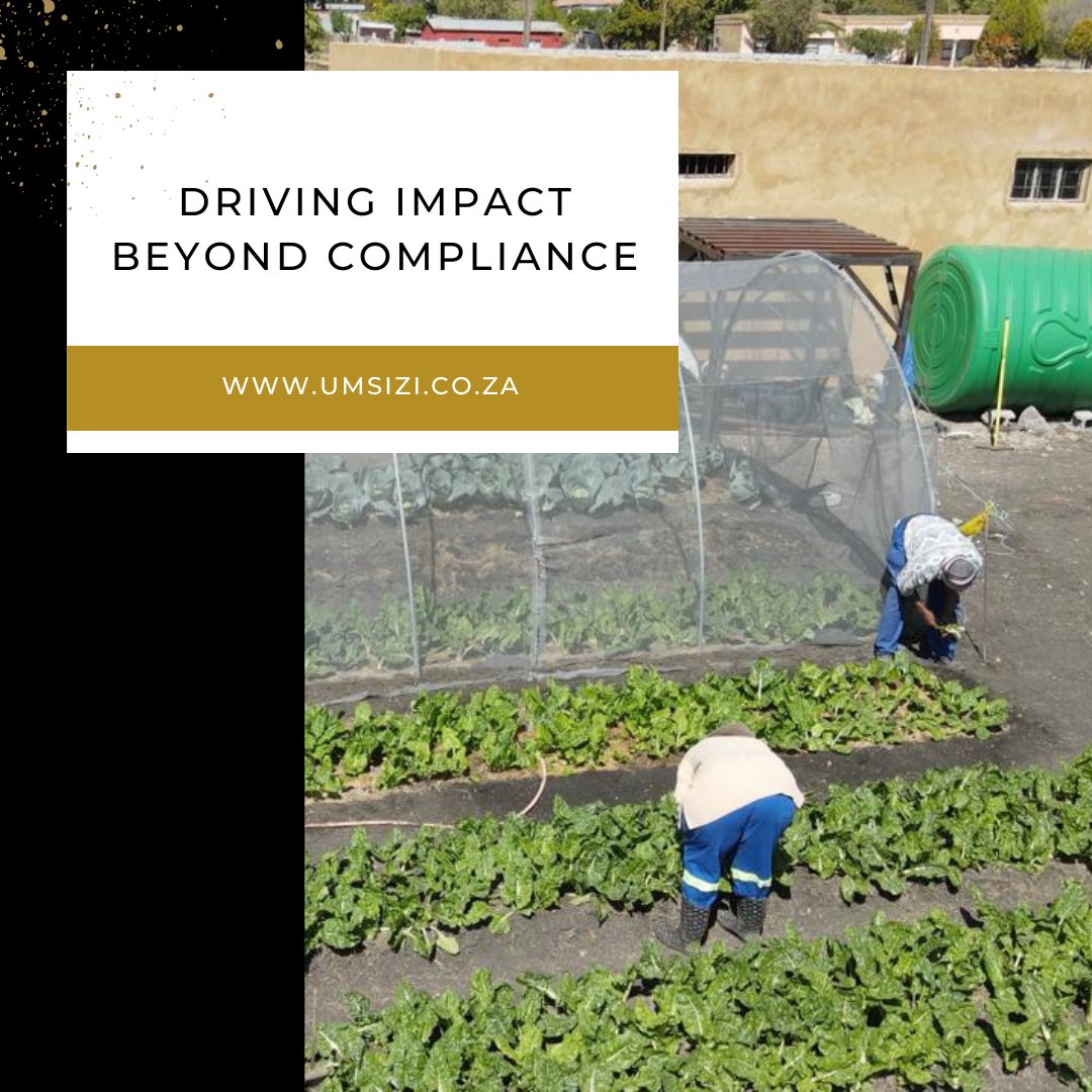 UmsiziProjects's tweet photo. Driving impact beyond compliance. Umsizi specialises in bridging the gap between corporate strategies and social imperatives, ensuring businesses not only meet regulatory requirements, but also become catalysts for positive change. #CSR #SustainabilityReporting https://t.co/IC4lOQM4y5