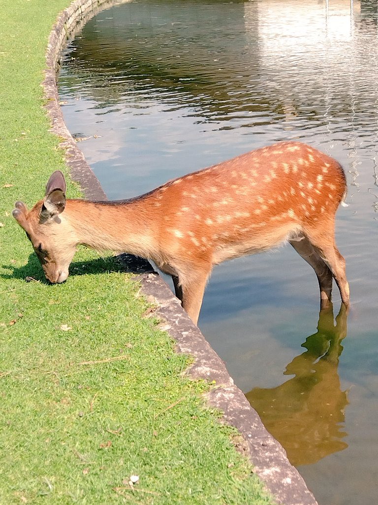 GalaxyZeinzVA tweet media