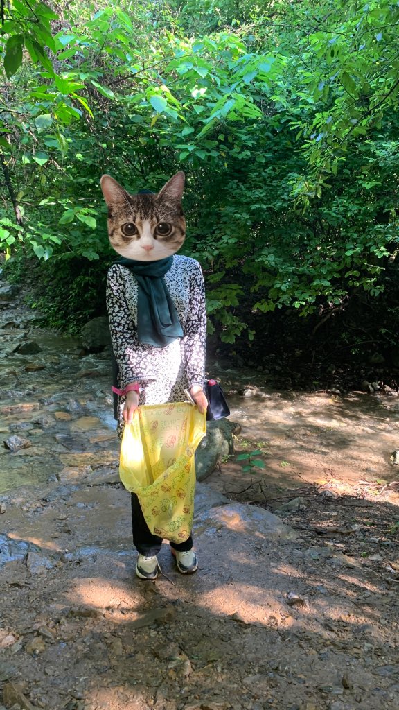 Poke Plastic tweet media