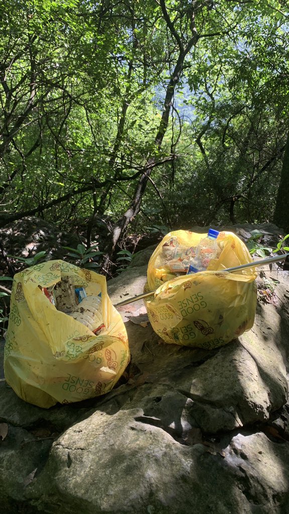 Poke Plastic tweet media