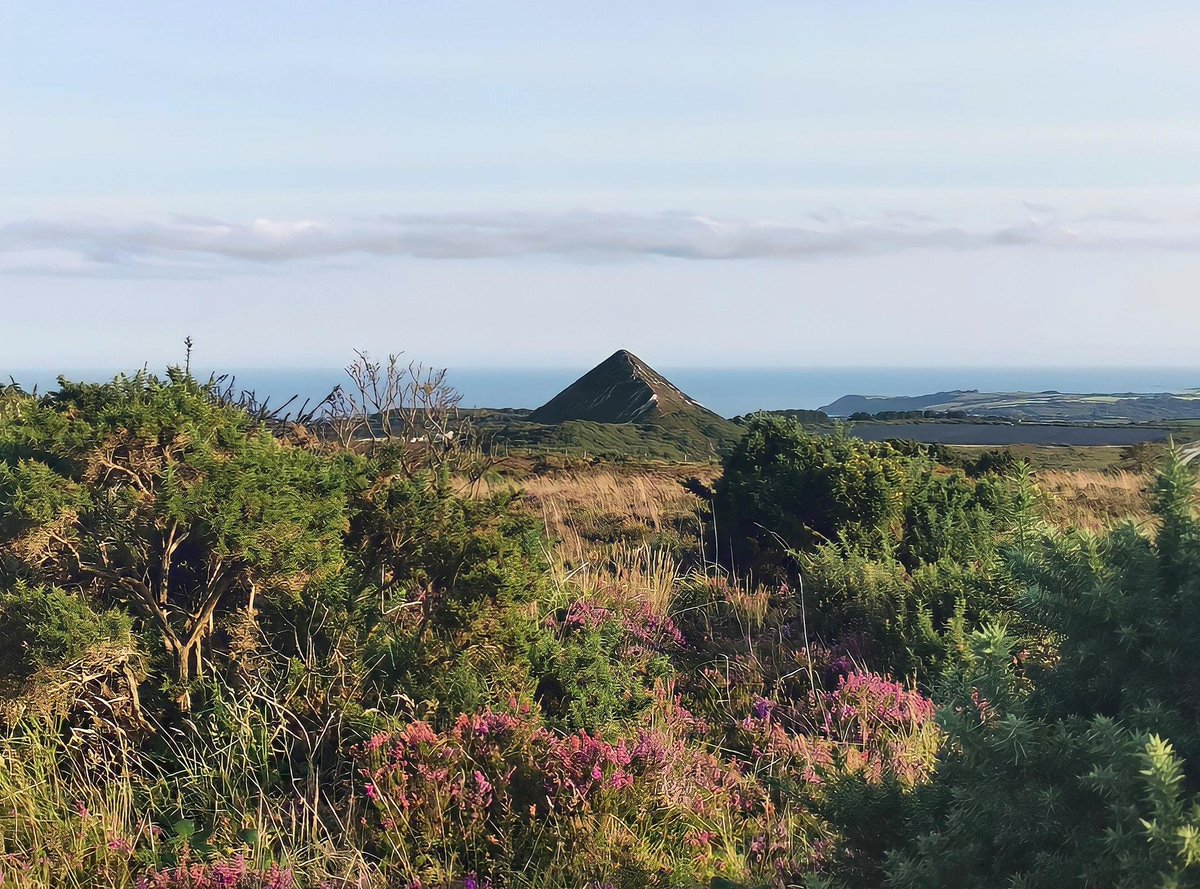 Nice morning on the locally restored heathland near my house. Despite the muggy weather a few Whitethroat,Wheatear &amp; Chiffchaff around along with all the regular bits &amp; bobs.