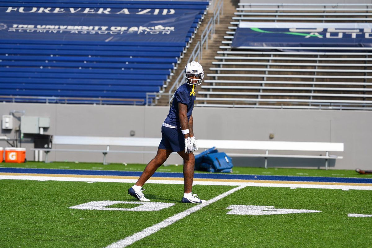 P.wilson Animal🥱 tweet media