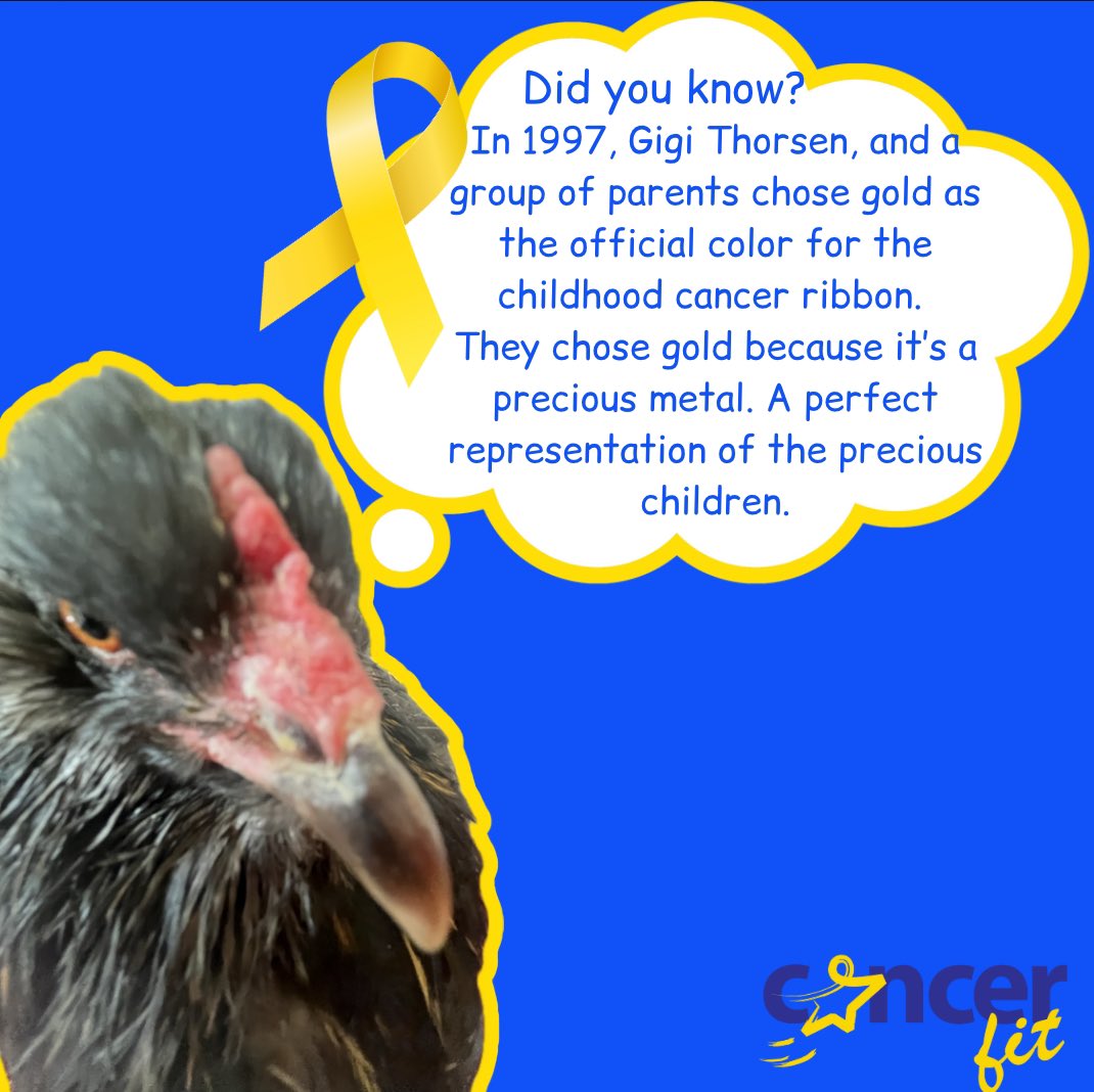 Can you join us, and Millie the chicken in going gold for Childhood Cancer Awareness Month? 

Send us your different ways of going gold! 

#PoweredByCancerFit #CancerFit #GoGold #ShowYourGold #MoreThan4 #ChildhoodCancerAwarenessMonth #ChildhoodCancer #chicken #ameraucanachicken