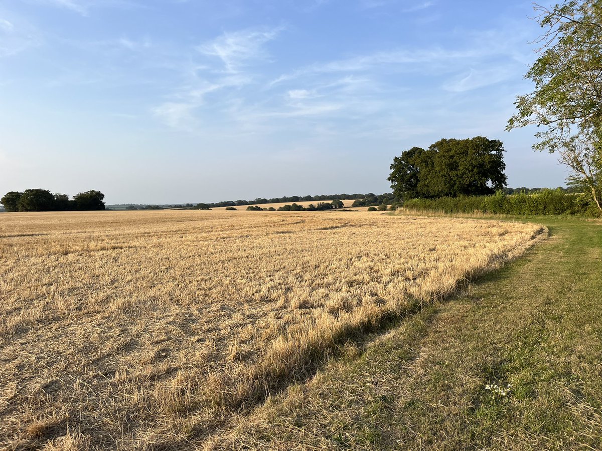 Suffolk Sue 💜🦩 tweet media