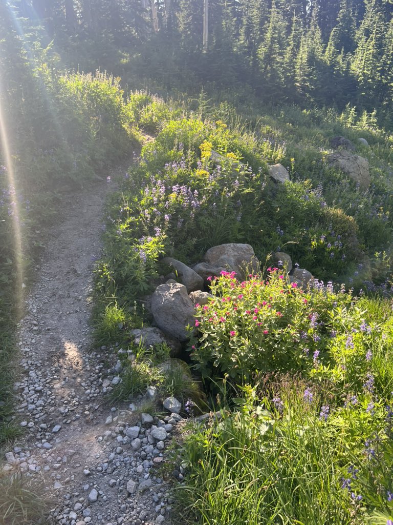 Paul J. Pastor tweet media