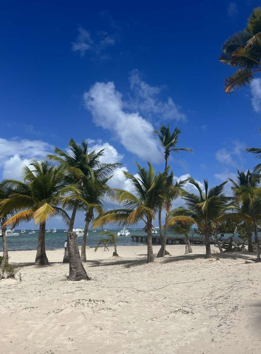ASAP_MONTYYY's tweet photo. Life in the Dominican Republic has been rad. https://t.co/PsopTIYPFF