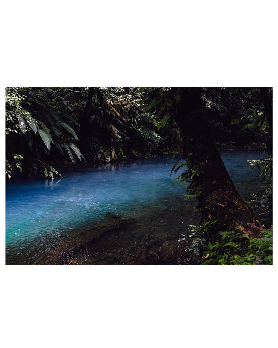 Emeric_gf's tweet photo. Jungle 02 🌿 https://t.co/iTz7LcQLUY