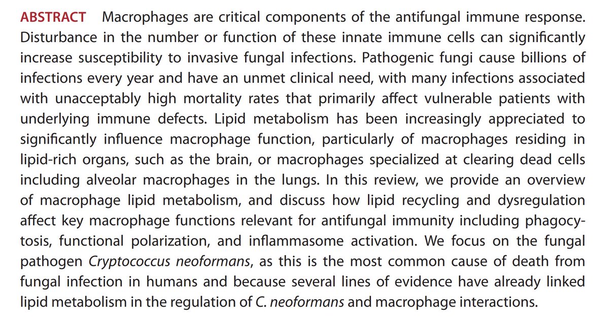 🕸️Dr.T, PhD tweet media