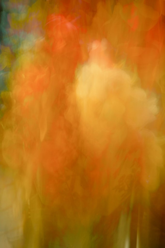 ellecreative's tweet photo. @Sam_Alexandra23 #MultipleExposures
ICM Multiple Exposures (2 images) Blended in Camera
"In Motion"
"Autumn Metamorphosis"
"Floral Medley" https://t.co/CEPKV6SJ8n