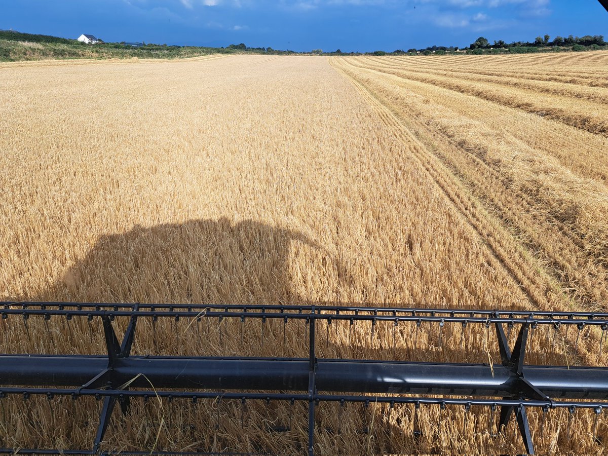 Liam Ahearn tweet media