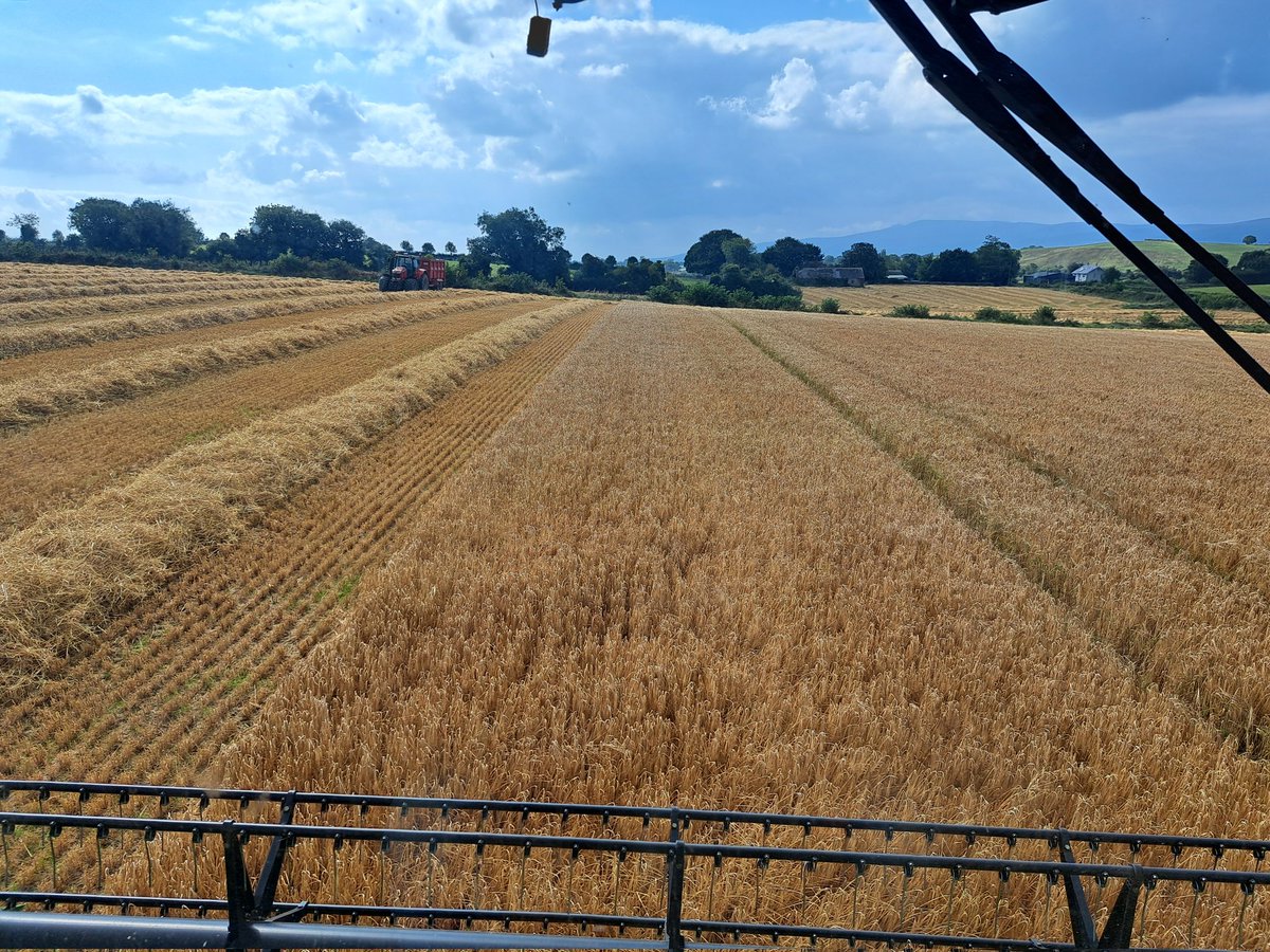 Liam Ahearn tweet media