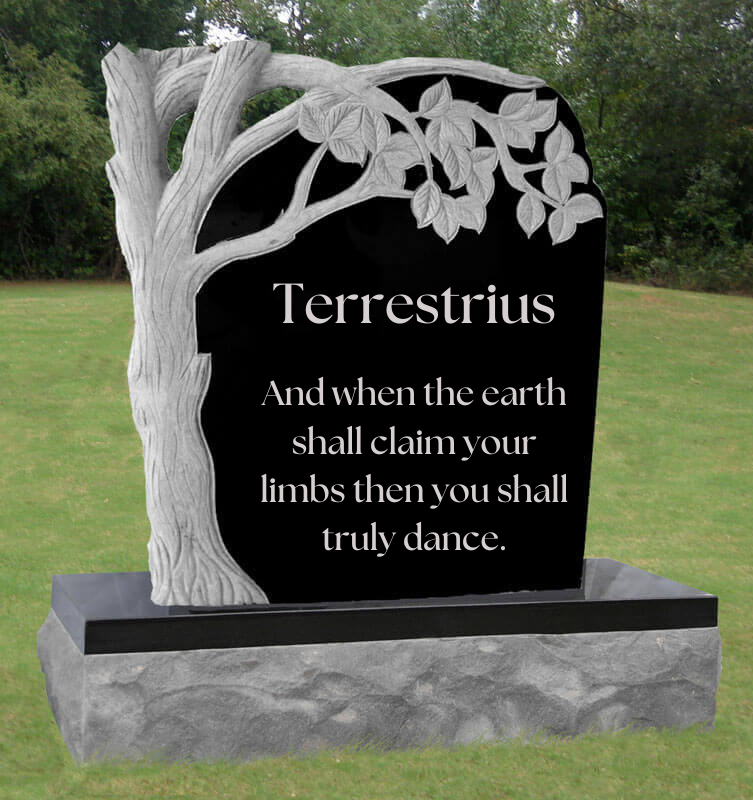 SpellboundRoZe's tweet photo. "Death must be so beautiful. To lie in the soft brown earth, with the grasses waving above one's head, and listen to silence. To have no yesterday, and no tomorrow. To forget time, to forgive life, to be at peace."

- Oscar Wilde

#TheDragonPrince #tdpterry #terrytdp #tdptwt https://t.co/7Dwf9CWgqE