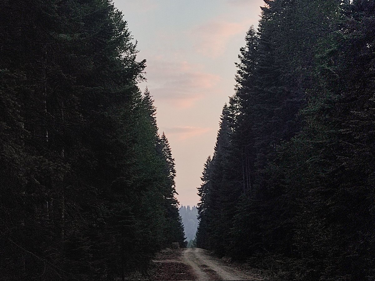 moment 🏕️ I düzce