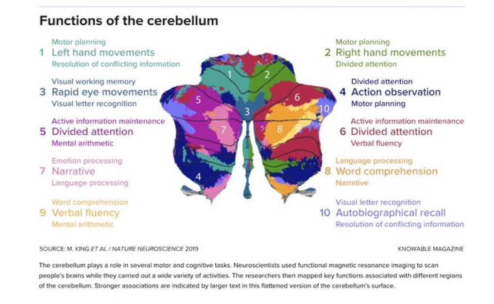Oren Gottfried, MD tweet media