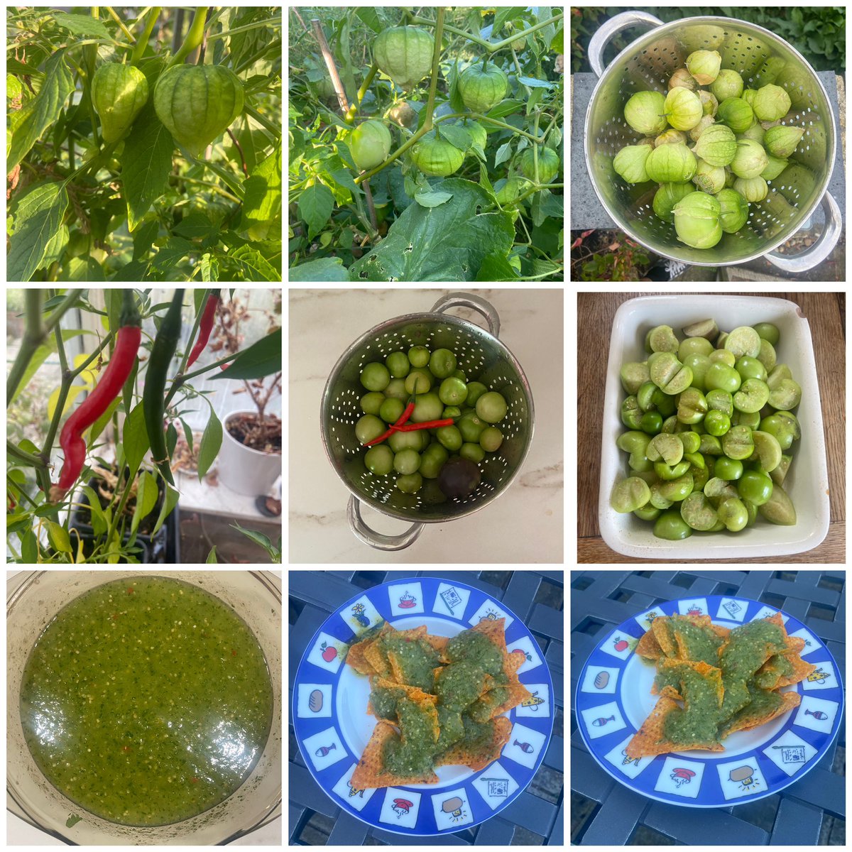 Tomatillo Salsa