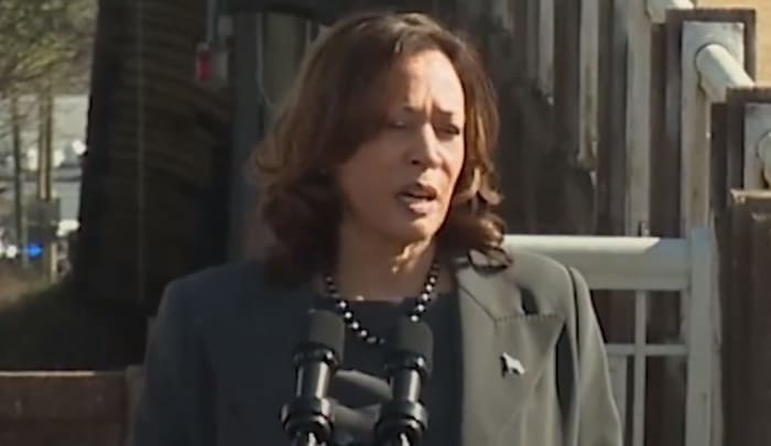 Black Californians warn of ‘direct impact’ on Harris’ election chances after Democrats kill slavery reparations bills gellerreport.com/2024/09/black-…