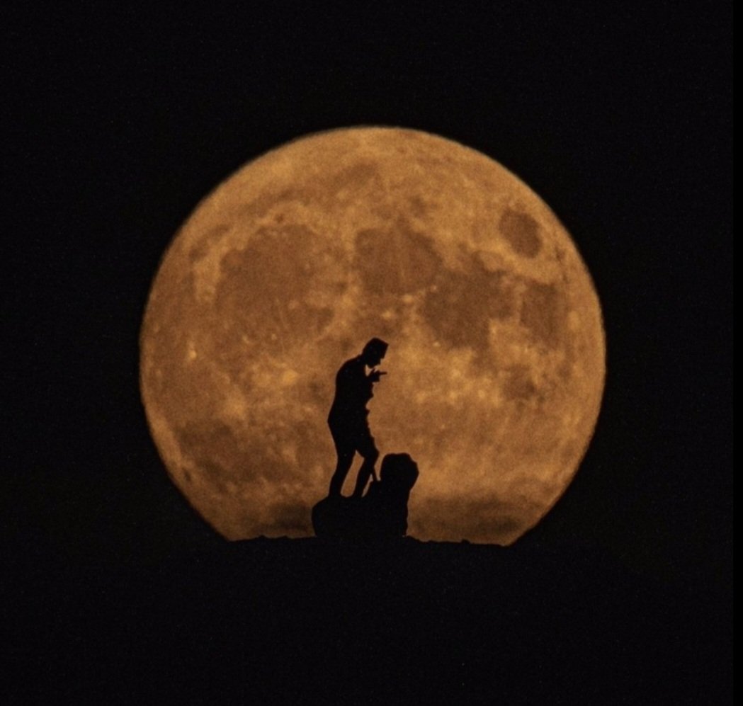 Güney Dağdeviren tweet media